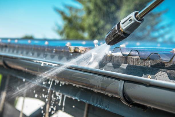 Best Local Pressure Washing Services  in Somonauk, IL