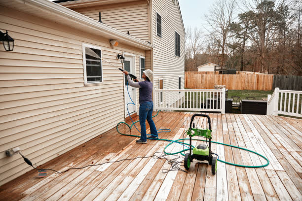 Best Roof Pressure Washing  in Somonauk, IL