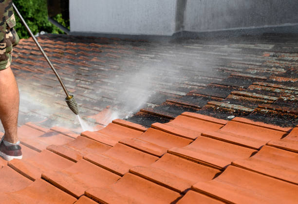 Best Affordable Power Washing  in Somonauk, IL