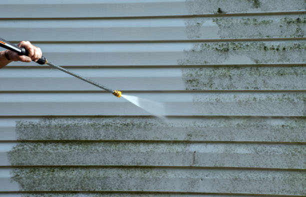 Best Affordable Power Washing  in Somonauk, IL