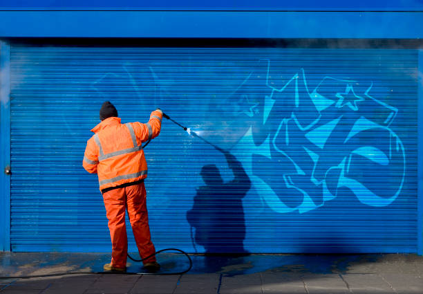 Best Affordable Pressure Washing  in Somonauk, IL