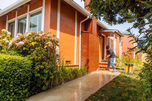 Best House Pressure Washing  in Somonauk, IL