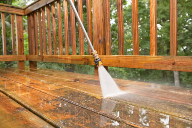 Best Residential Pressure Washing Services  in Somonauk, IL