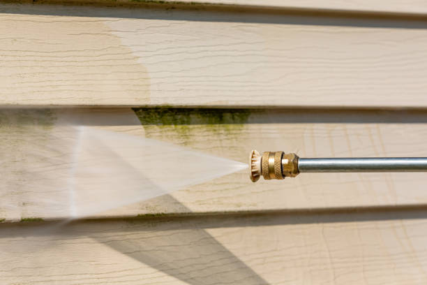 Best Roof Power Washing Services  in Somonauk, IL