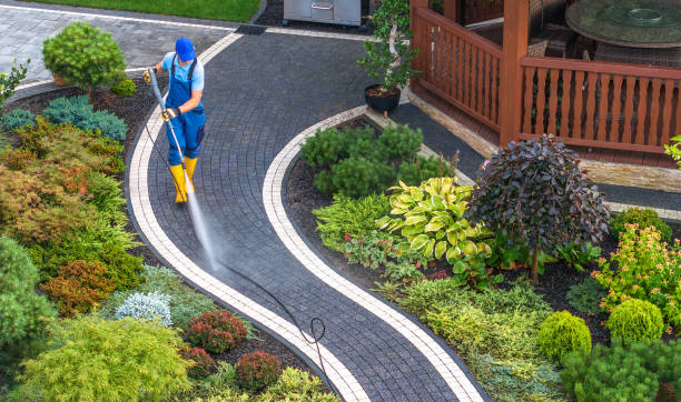 Best Deck Pressure Washing  in Somonauk, IL