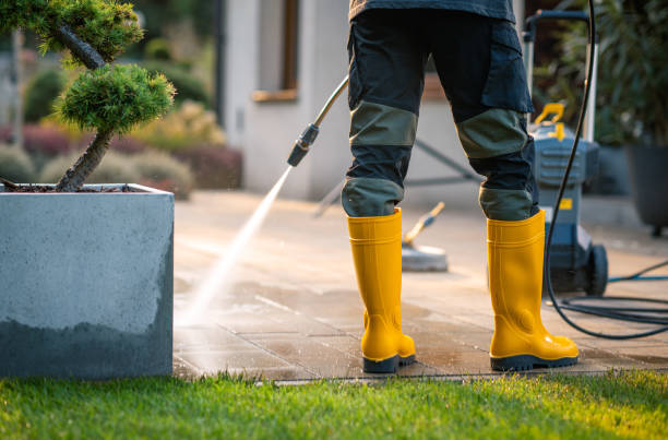 Best Pressure Washing Contractors  in Somonauk, IL